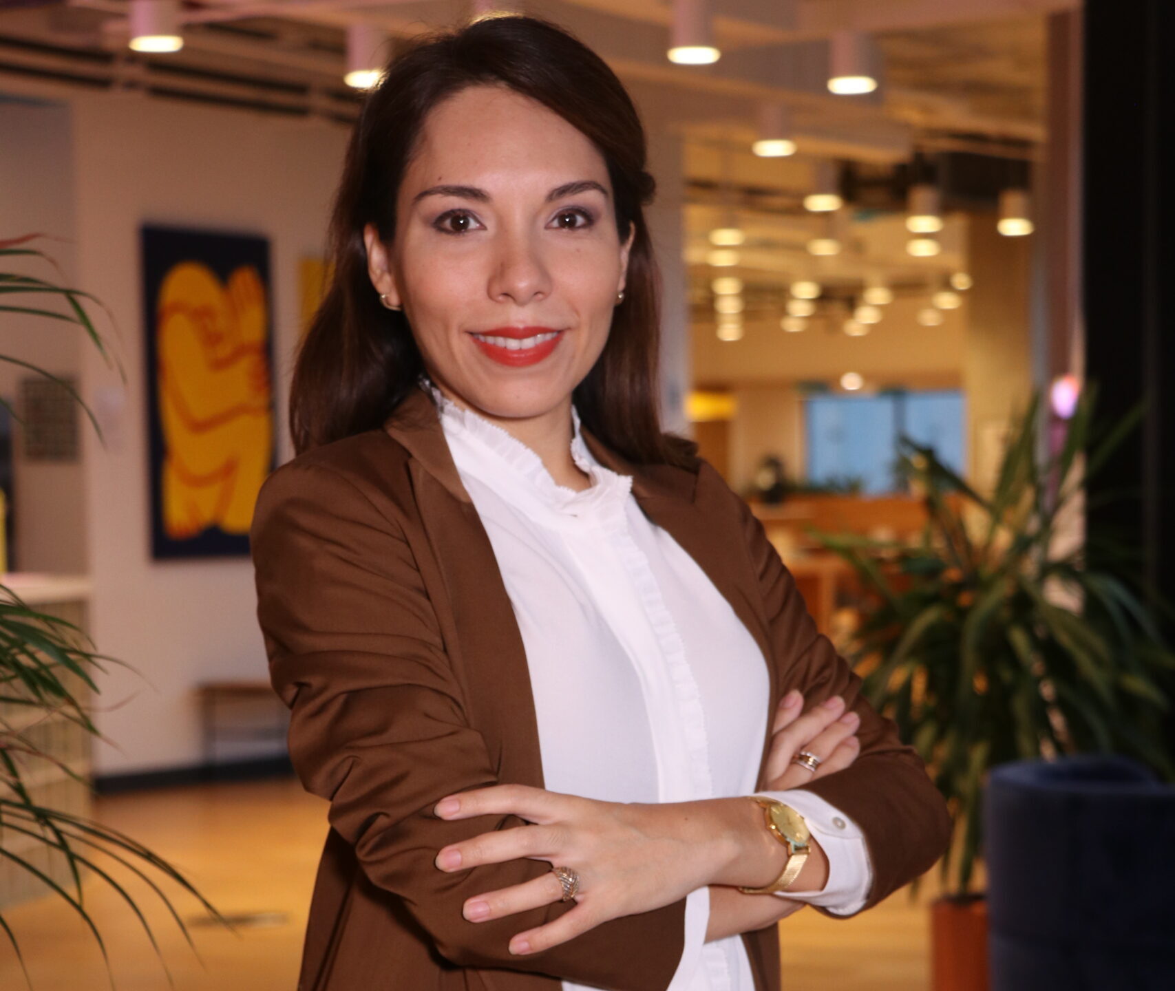 Contador Público financiero