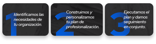 ¿Cómo profesionalizamos tu negocio? en