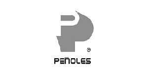 Peñoles logo