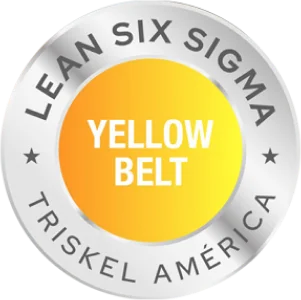 yellow.png